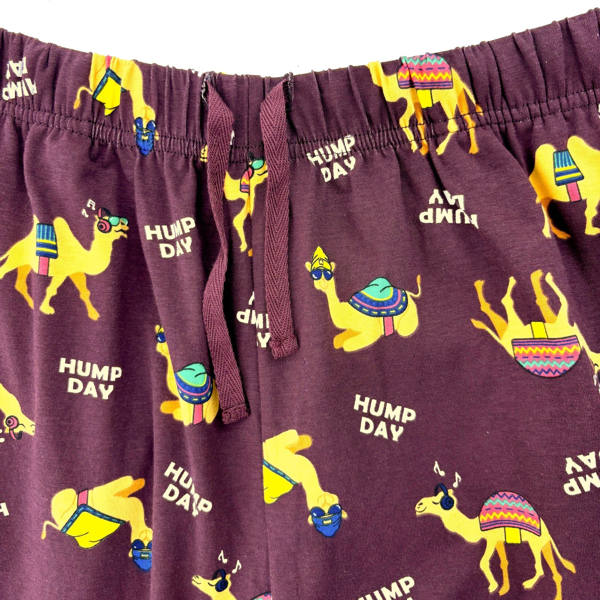 Men's Funny Hump Day Camel Novelty Print Cotton Pajama PJ Pant Bottoms