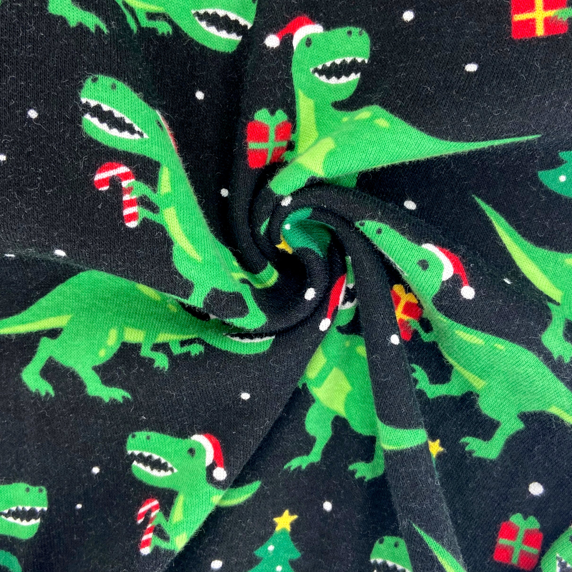 Festive T-Rex Dinosaurs in Santa Hats Print Long Christmas PJ Pants