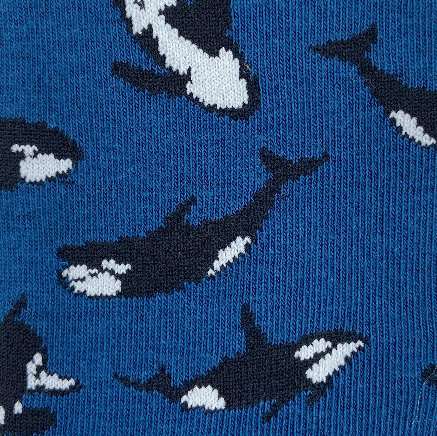 Classic Navy Blue Sea Creatures Themed Killer Whale Ocra Novelty Socks