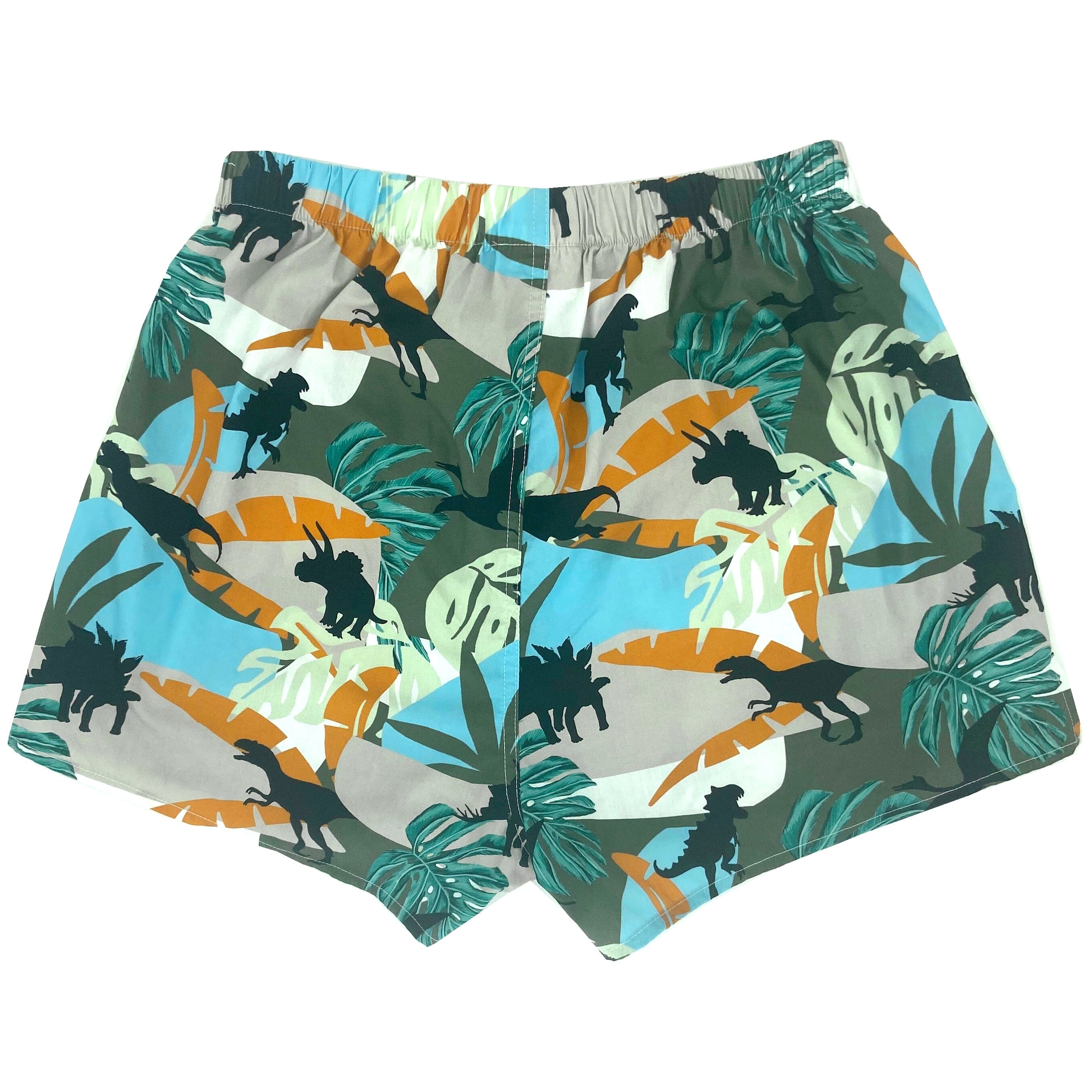 Fun Dinosaur Underwear For Adults. Shop Dinosaur Boxer Shorts for Men