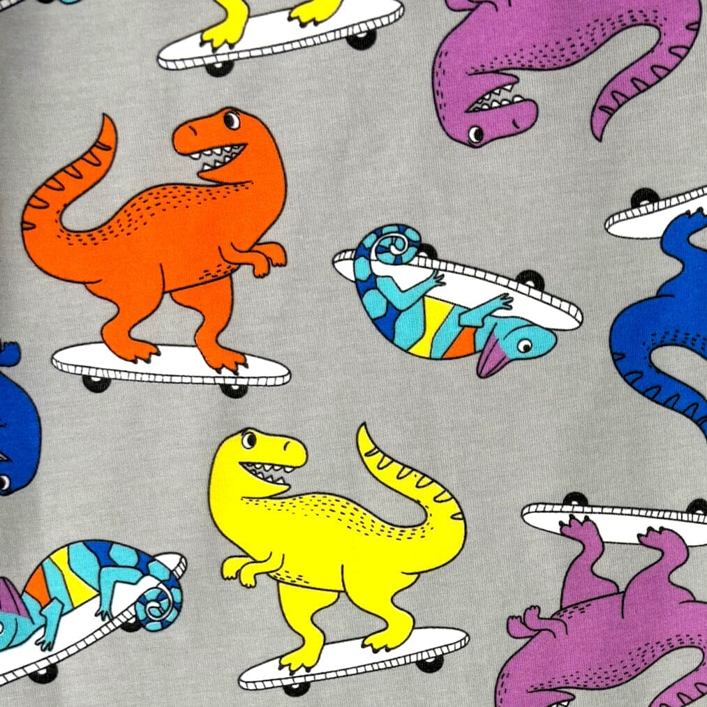 Men's Skateboarding T-Rex Dinosaur Print Cotton Knit Pyjama PJ Bottoms