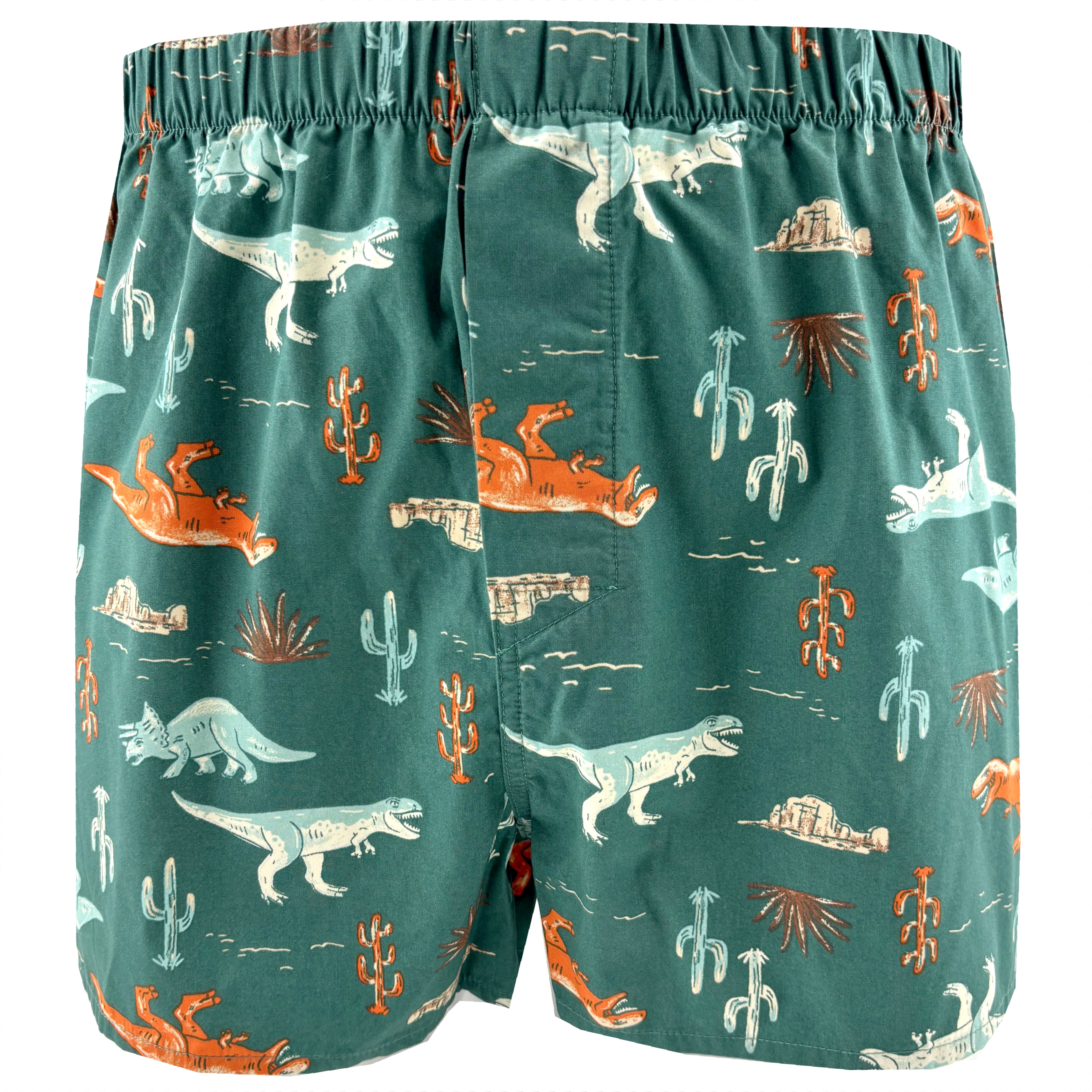 Men's Tyrannosaurus Triceratops Dinosaur Pattern Boxer Shorts in Blue