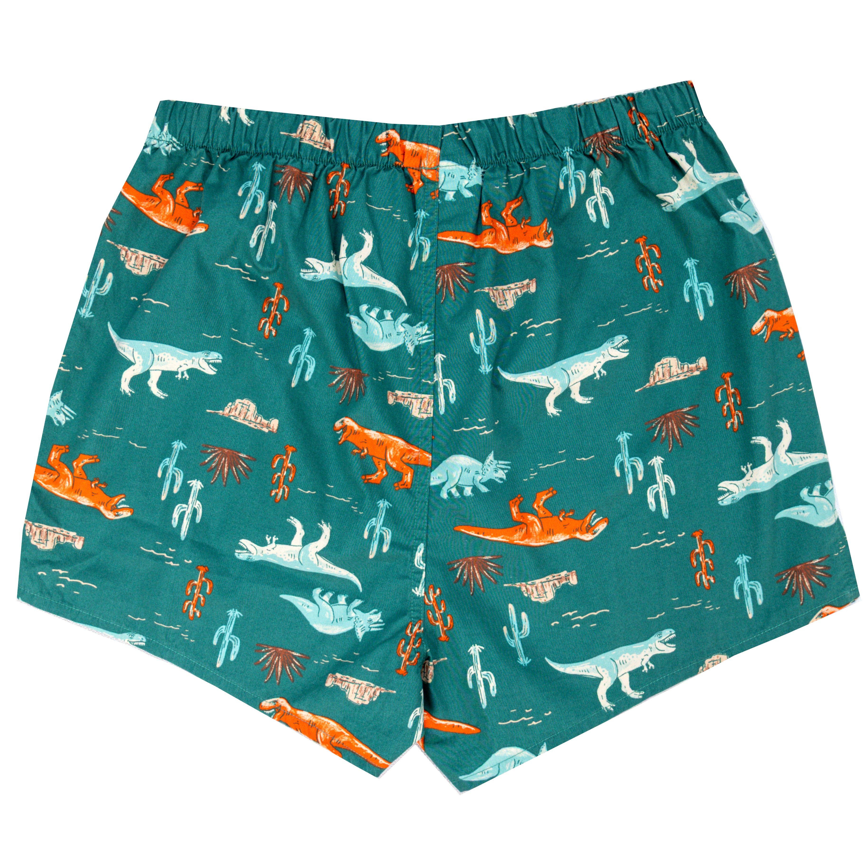 Men's Tyrannosaurus Triceratops Dinosaur Pattern Boxer Shorts in Blue