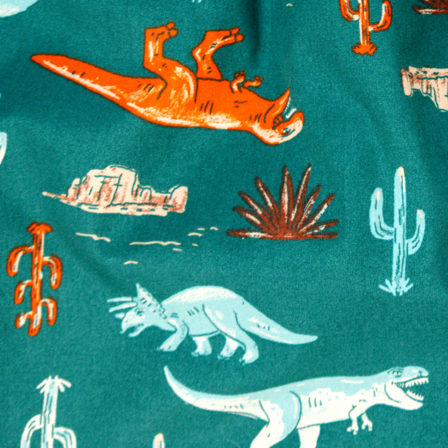 Men's Tyrannosaurus Triceratops Dinosaur Pattern Boxer Shorts in Blue