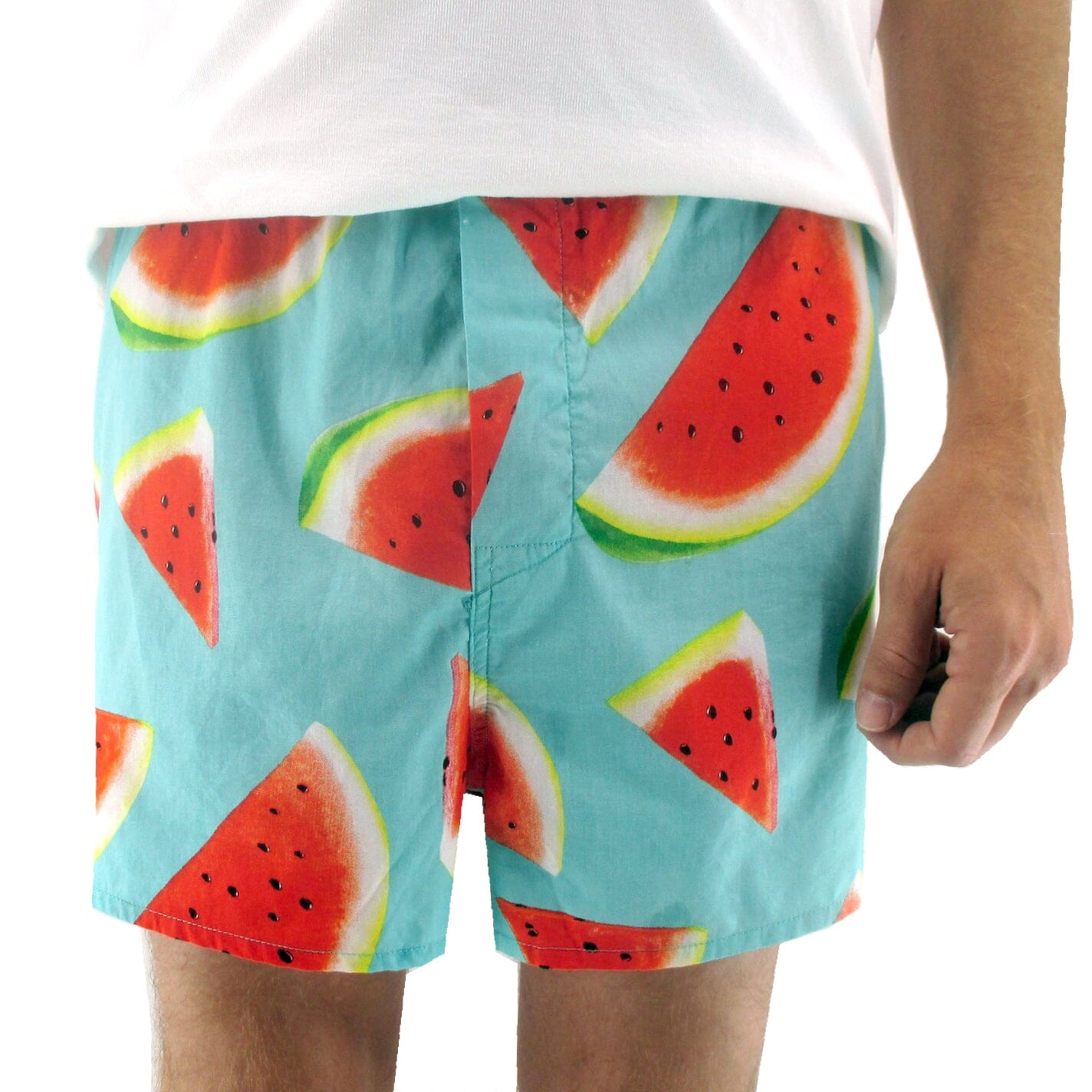 Men's Blue Fruity Watermelon All Over Print Boxer Shorts Underwear