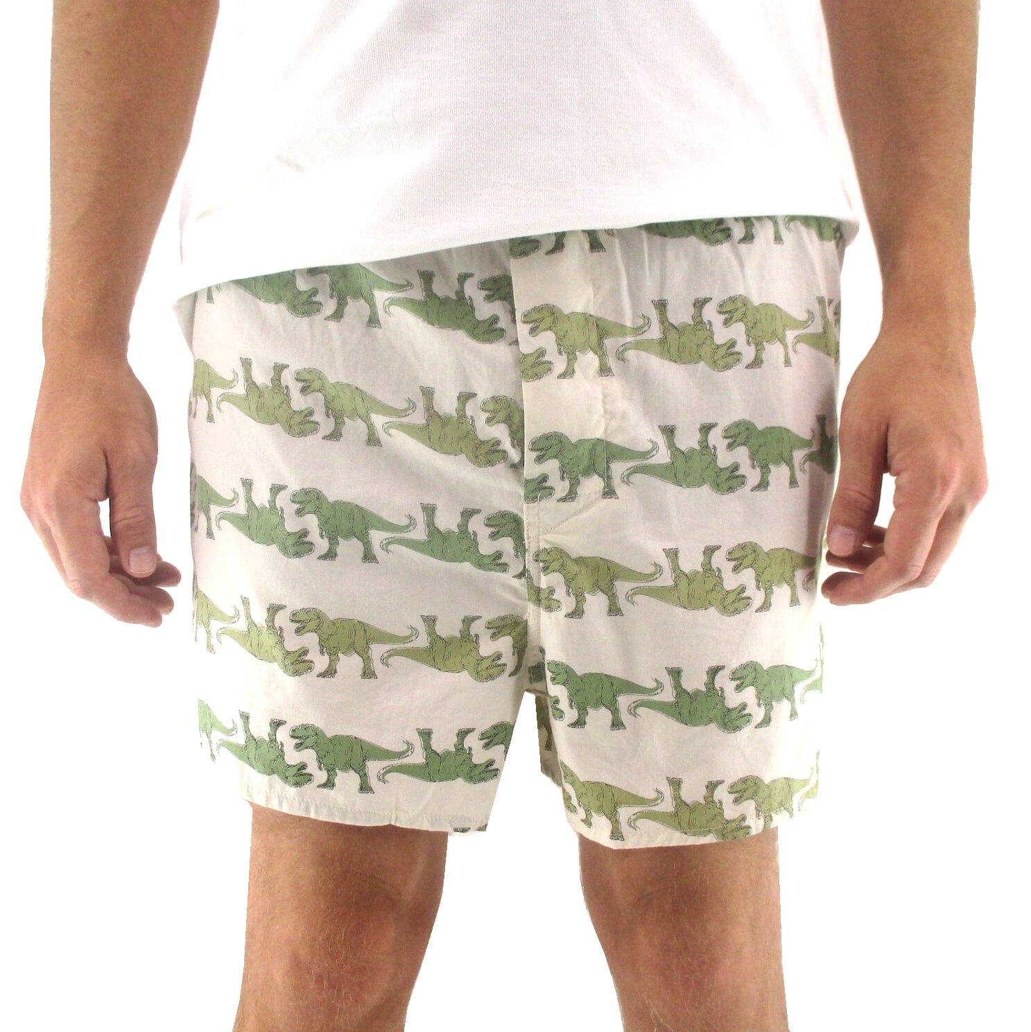 Men's T-Rex Dinosaur All-Over-Print Cotton Boxer Shorts Underwear