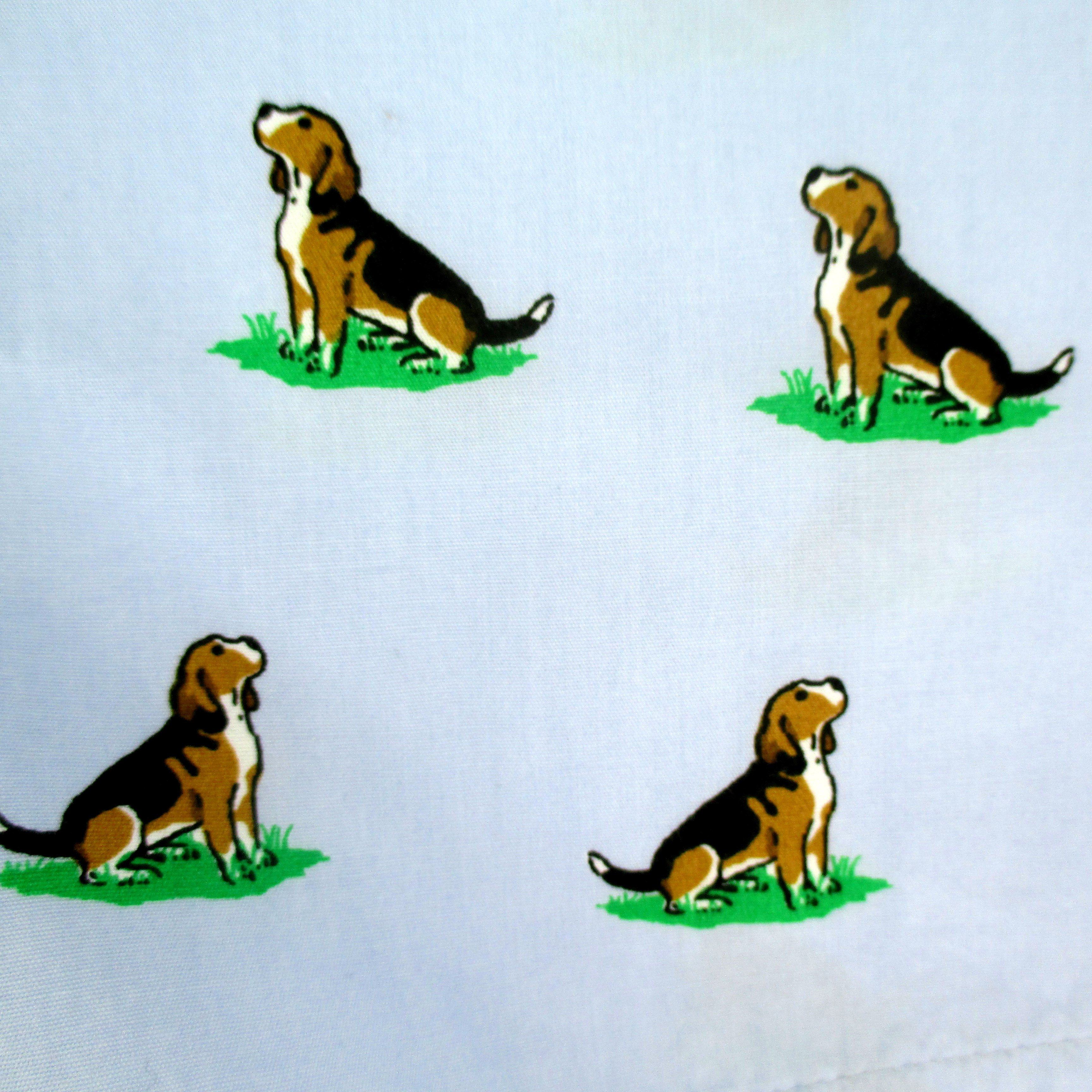 Rock Atoll Beagle Puppy Dog Pet Themed Boxer Shorts