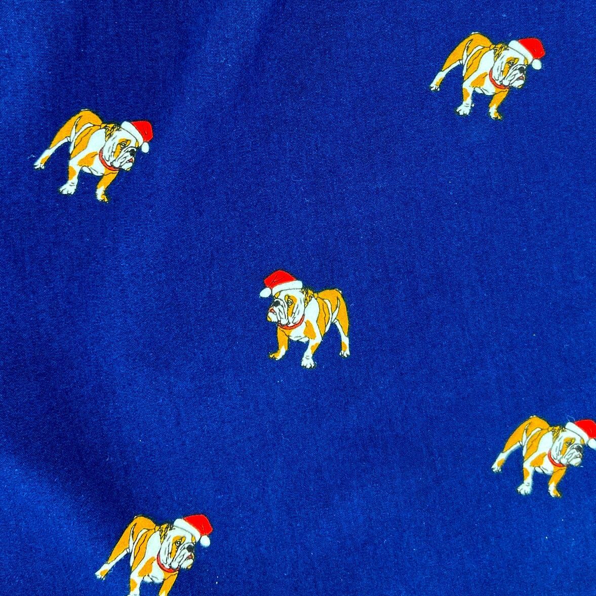 Men's Navy Blue English Bulldog Wearing Santa Hats Print Boxer Shorts