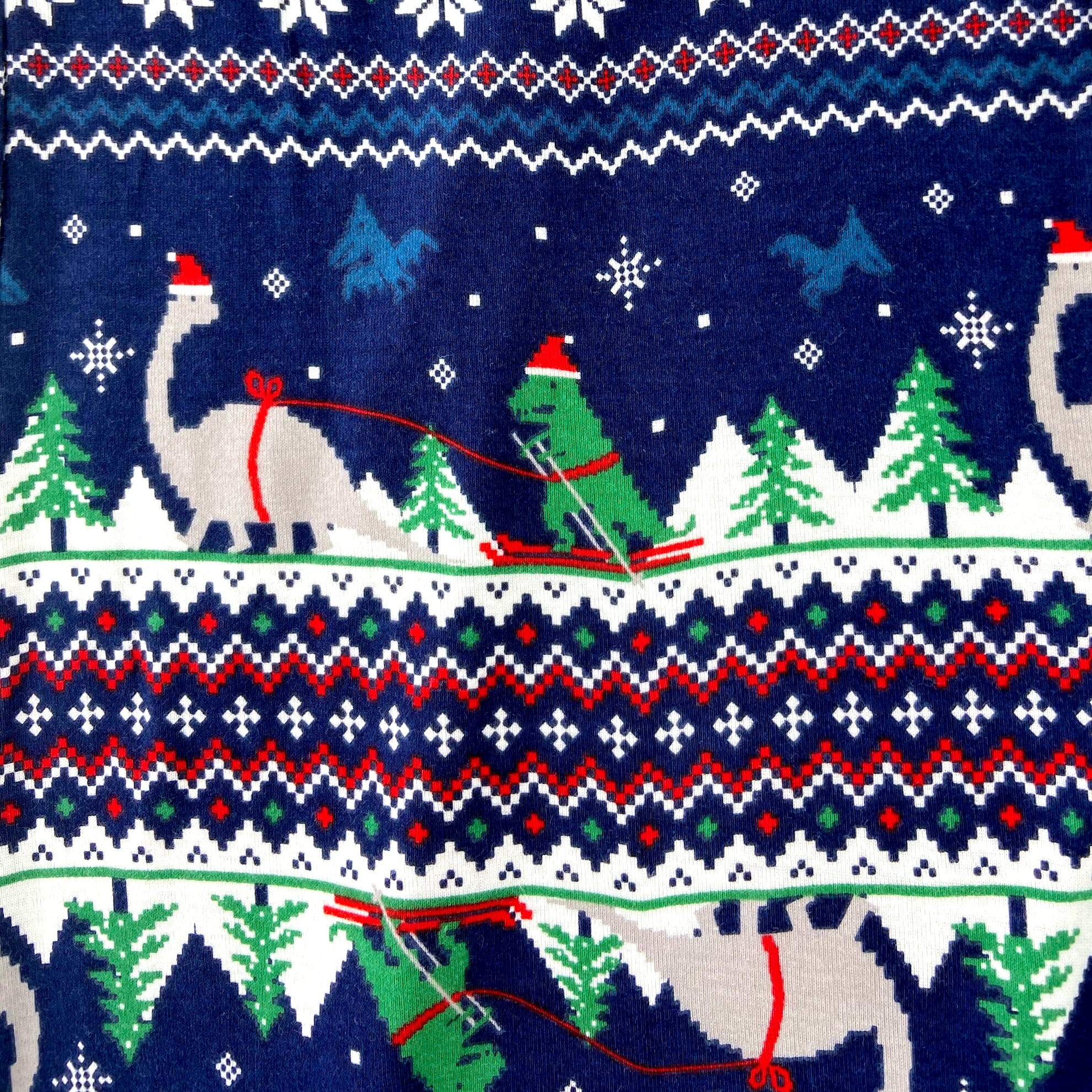 Men's Festive Dinosaurs in Santa Hats Print Cotton Long Pajama Pants