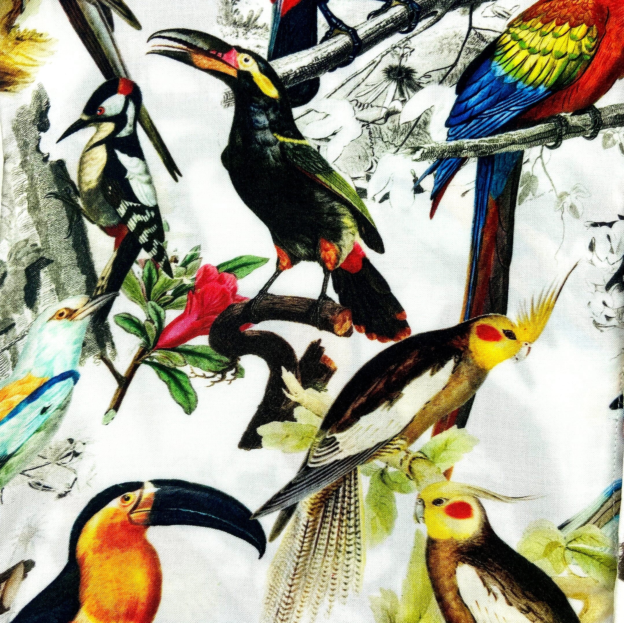 Men's Colorful Tropical Toucan Patterned Button Down Hawaiian Shirt