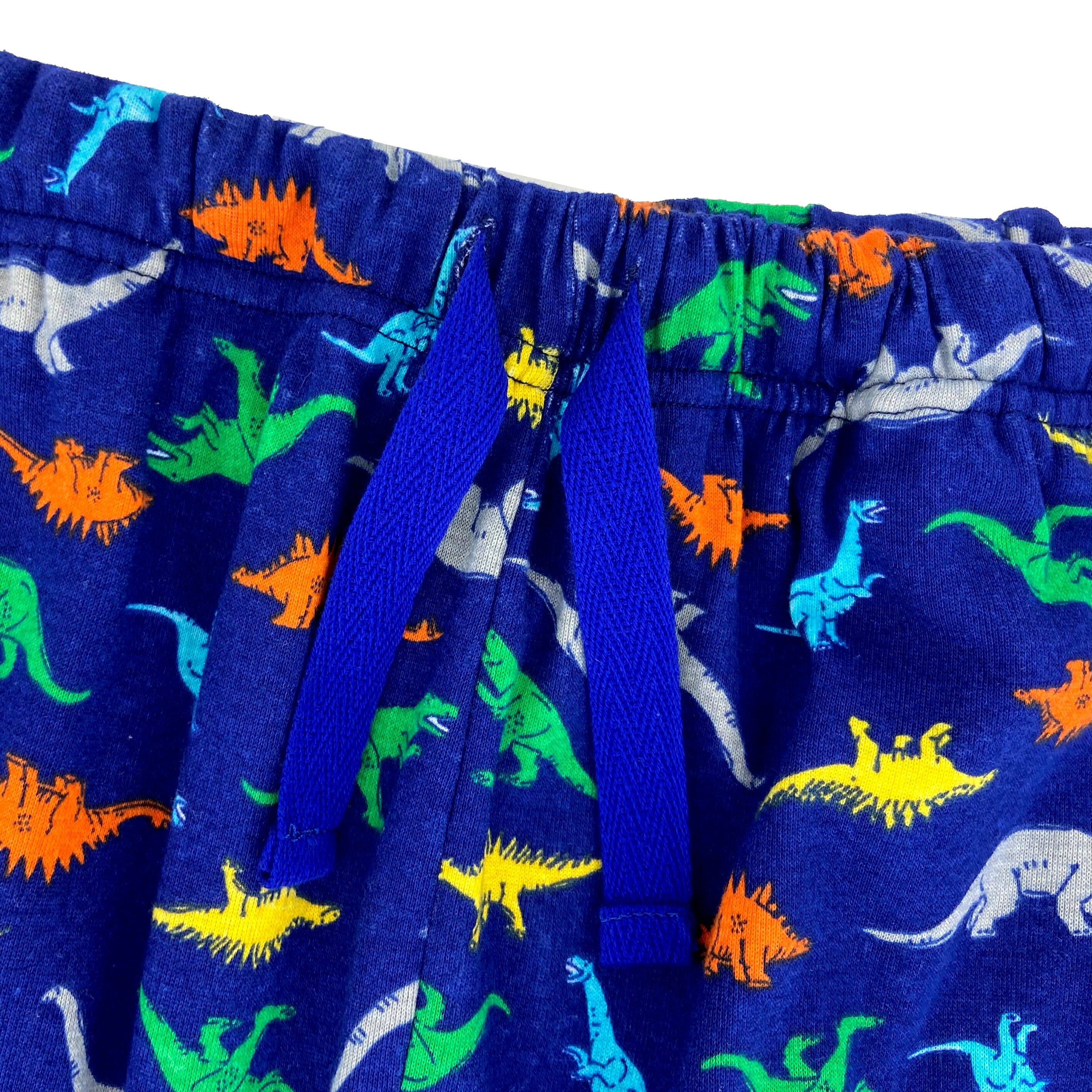 Adult Men's Dinosaur All Over Print Cotton Knit Long Pyjama Bottoms