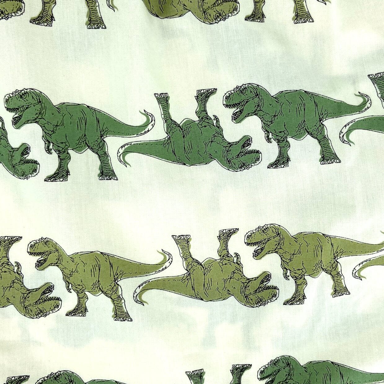Men's T-Rex Dinosaur All-Over-Print Cotton Boxer Shorts Underwear